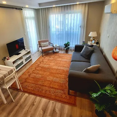 Stylish Flat In *
