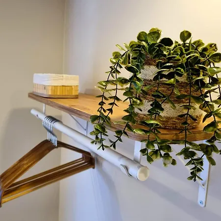 Stylish Flat In