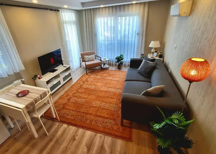 Stylish Flat In *