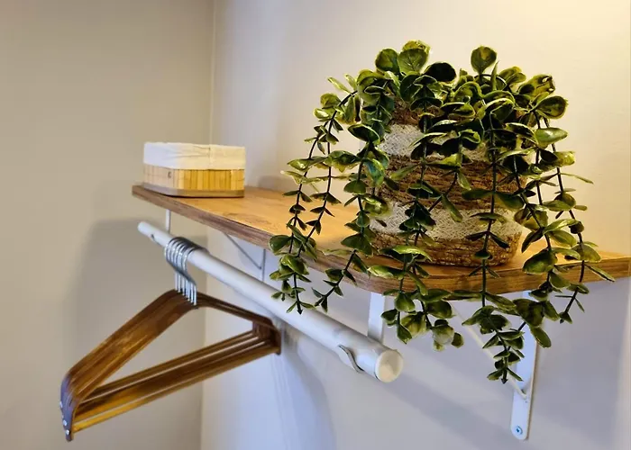 Stylish Flat In